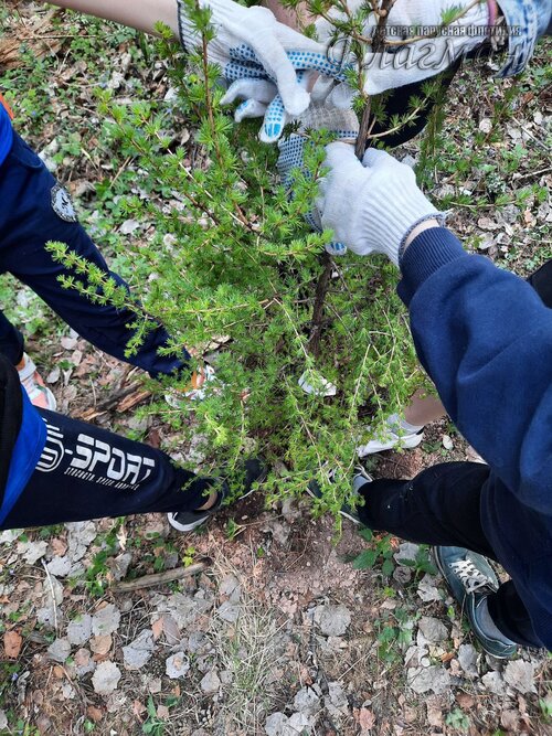 photo_6_2023-05-23_22-19-02